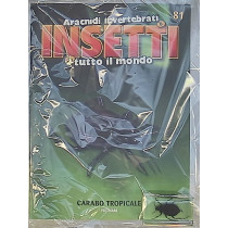 INSETTI5