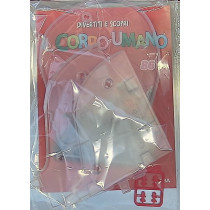 IL CORPO UMANO10