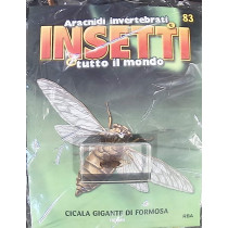 INSETTI5