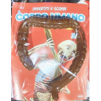 IL CORPO UMANO11