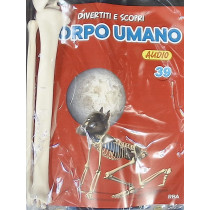 IL CORPO UMANO11