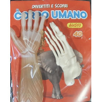IL CORPO UMANO11
