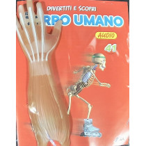 IL CORPO UMANO11