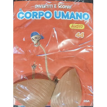 IL CORPO UMANO11