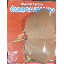 IL CORPO UMANO11