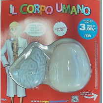IL CORPO UMANO12