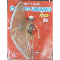 IL CORPO UMANO11