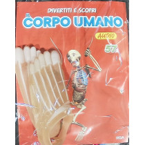 IL CORPO UMANO11