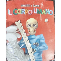 IL CORPO UMANO12