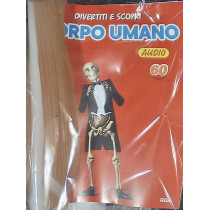 IL CORPO UMANO11