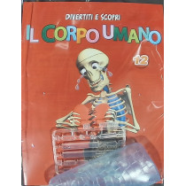 IL CORPO UMANO12