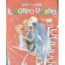 IL CORPO UMANO12