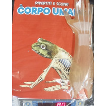 IL CORPO UMANO11