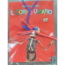 IL CORPO UMANO12