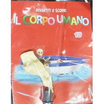 IL CORPO UMANO12