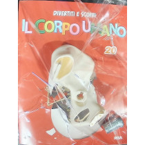 IL CORPO UMANO12