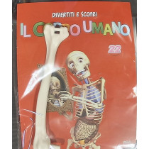 IL CORPO UMANO12