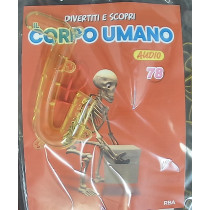 IL CORPO UMANO11
