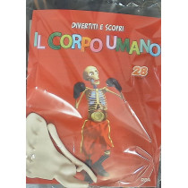 IL CORPO UMANO12