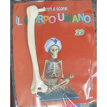 IL CORPO UMANO12