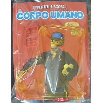 IL CORPO UMANO11