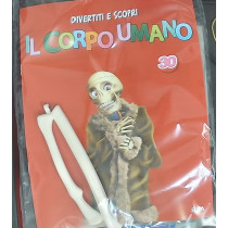 IL CORPO UMANO12