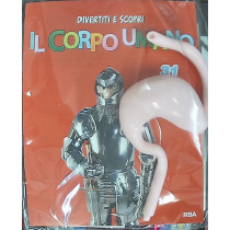 IL CORPO UMANO12