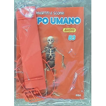 IL CORPO UMANO11