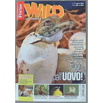 FOCUS WILD