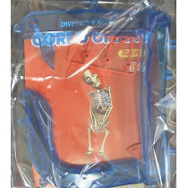 IL CORPO UMANO11