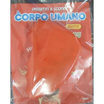 IL CORPO UMANO11