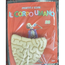IL CORPO UMANO12
