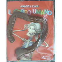 IL CORPO UMANO12