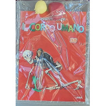 IL CORPO UMANO12
