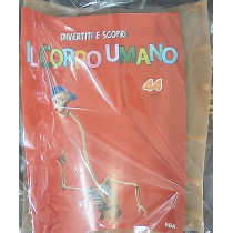 IL CORPO UMANO12