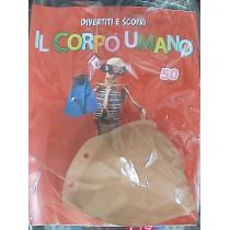 IL CORPO UMANO12