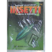INSETTI5