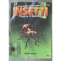 INSETTI5