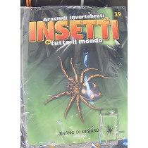 INSETTI5