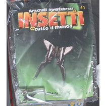 INSETTI5