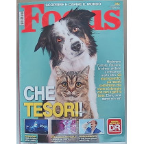 FOCUS
