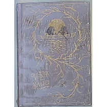 STORIE MERAVIGLIOSE2