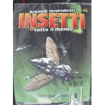 INSETTI5
