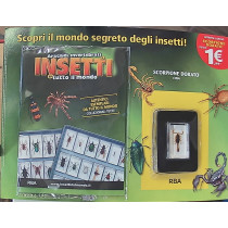 INSETTI5